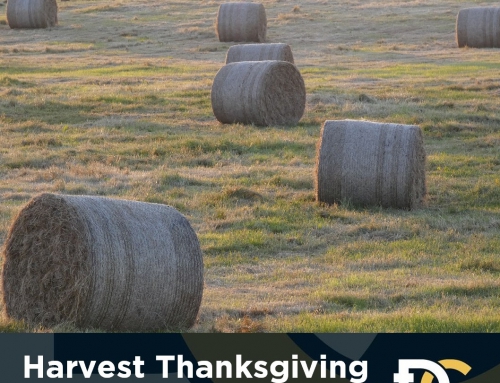 Harvest Sunday : 19th October 2025